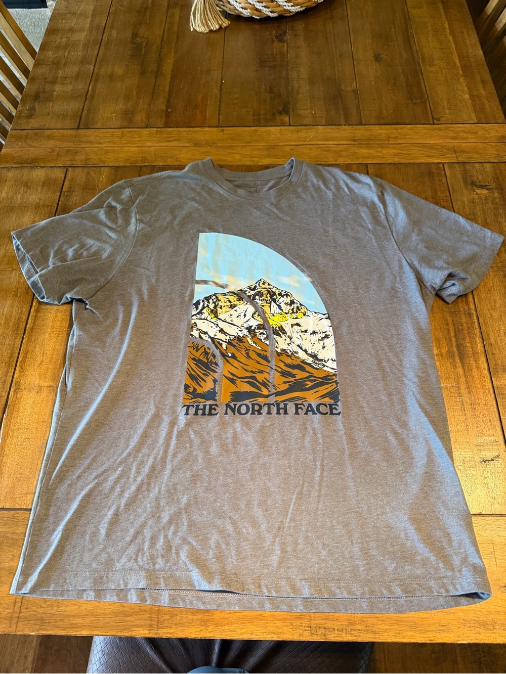 The North Face Men's Heather Gray Mountain Graphic Tee